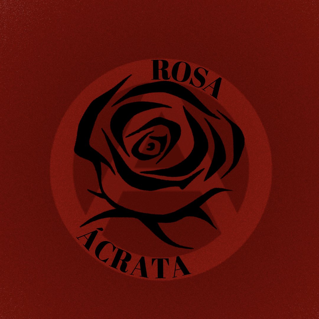 Rosa Acrata